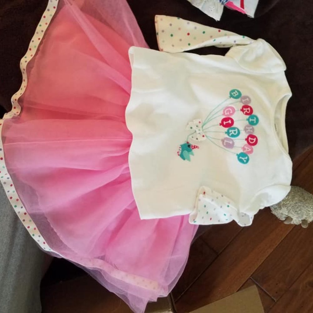 2pc Gymboree Birthday set